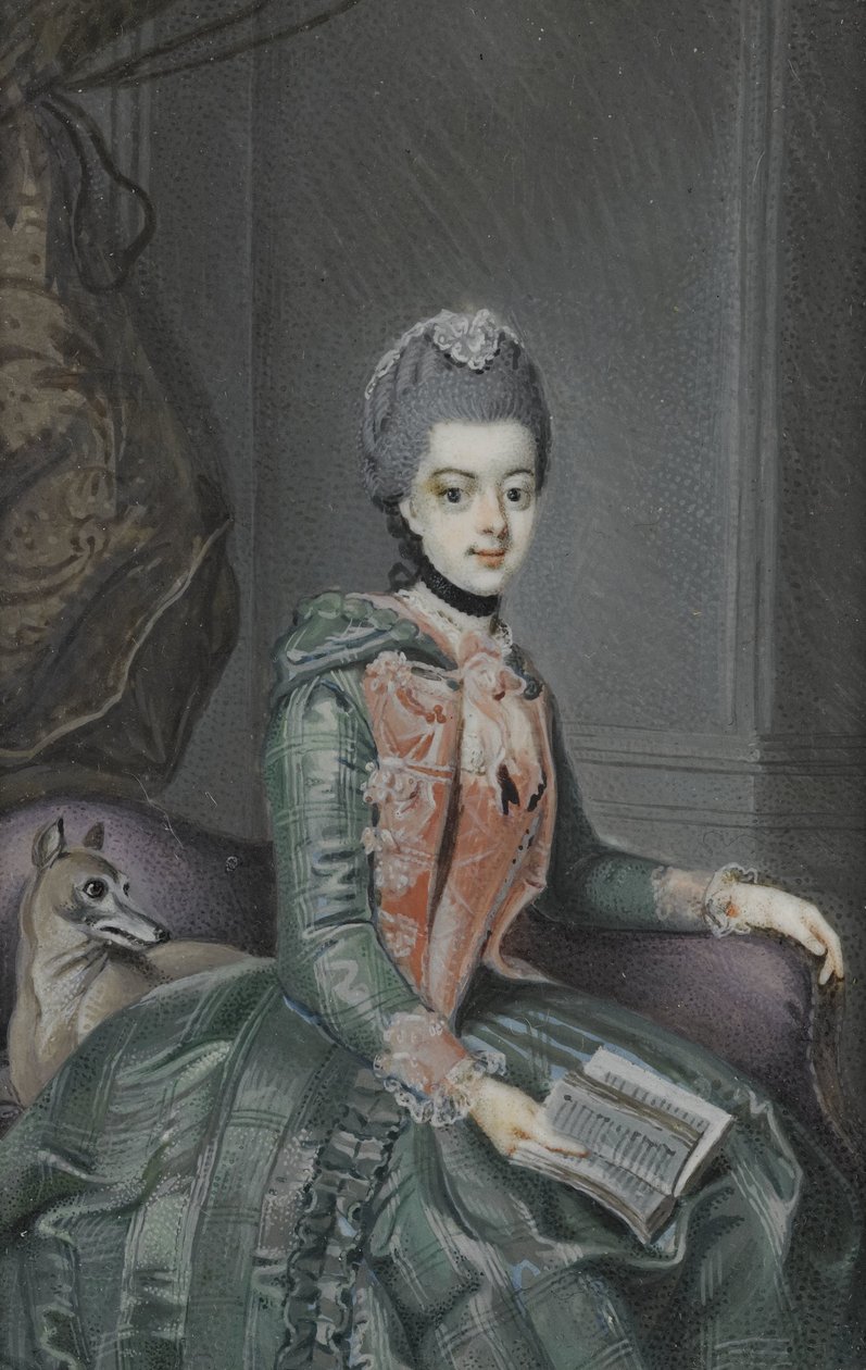Frederika Sophia Wilhelmina (1751-1820), Poroszország hercegnője. Willem V. herceg felesége alkotó: Anonymous