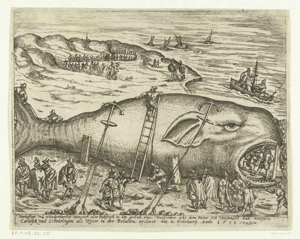 Elakadt Walvis Berckhey közelében, 1598 Warhafttigh And Wonderful Monster vagy Pottfisch bálna formájában, amelyből Möer feliszapolt Catwyck és Schevelingen között, mint Wyter az ercleret kapcsolatában 1598. február 4-én (cici alkotó: Anonymous