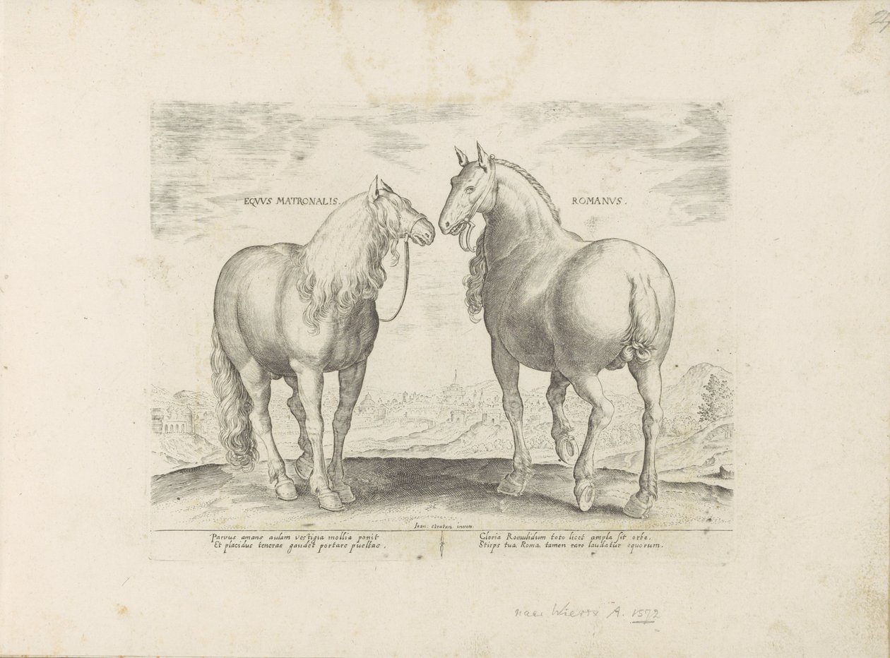 Hengst en merrie uit Róma Római anyaló (cím a tárgyon) Paardenrassen uit de Koninklijke stallen van Don Juan van Oostenrijk (sorozat címe) A ló, amelyben mindenféle nemes: a világ legkülönbözőbb pontjairól válogatott lovak viselkedése megkülönböztethető ( alkotó: Anonymous