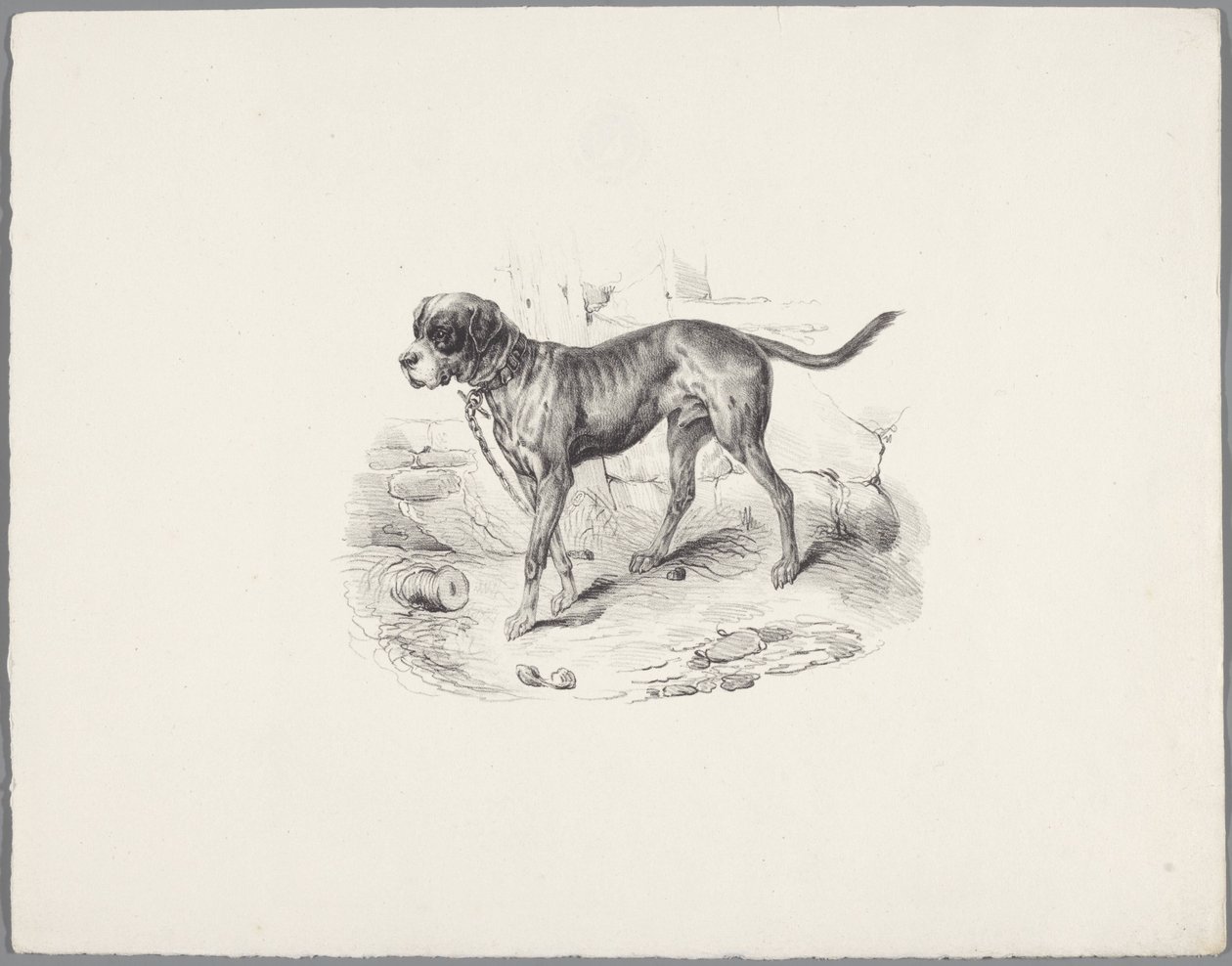 Kutya a láncon Six Little Animal Studies (sorozat címe) Six Little Beast Studies (sorozat címe a tárgyon) alkotó: Anonymous