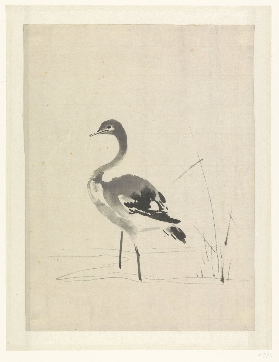 Fiatal Crane alkotó: Anonymous