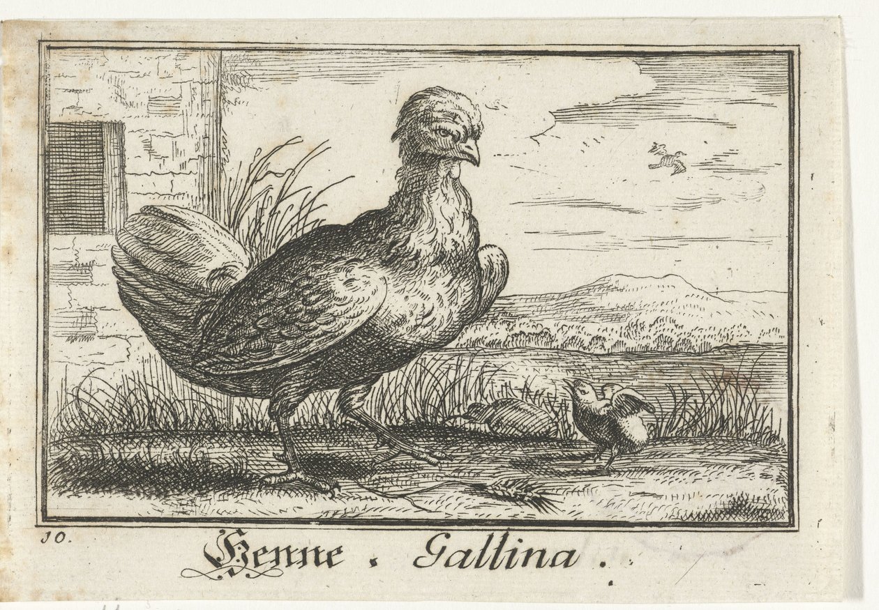 Csirke csirkével Henna, Gallina. (cím a tárgyon) alkotó: Anonymous