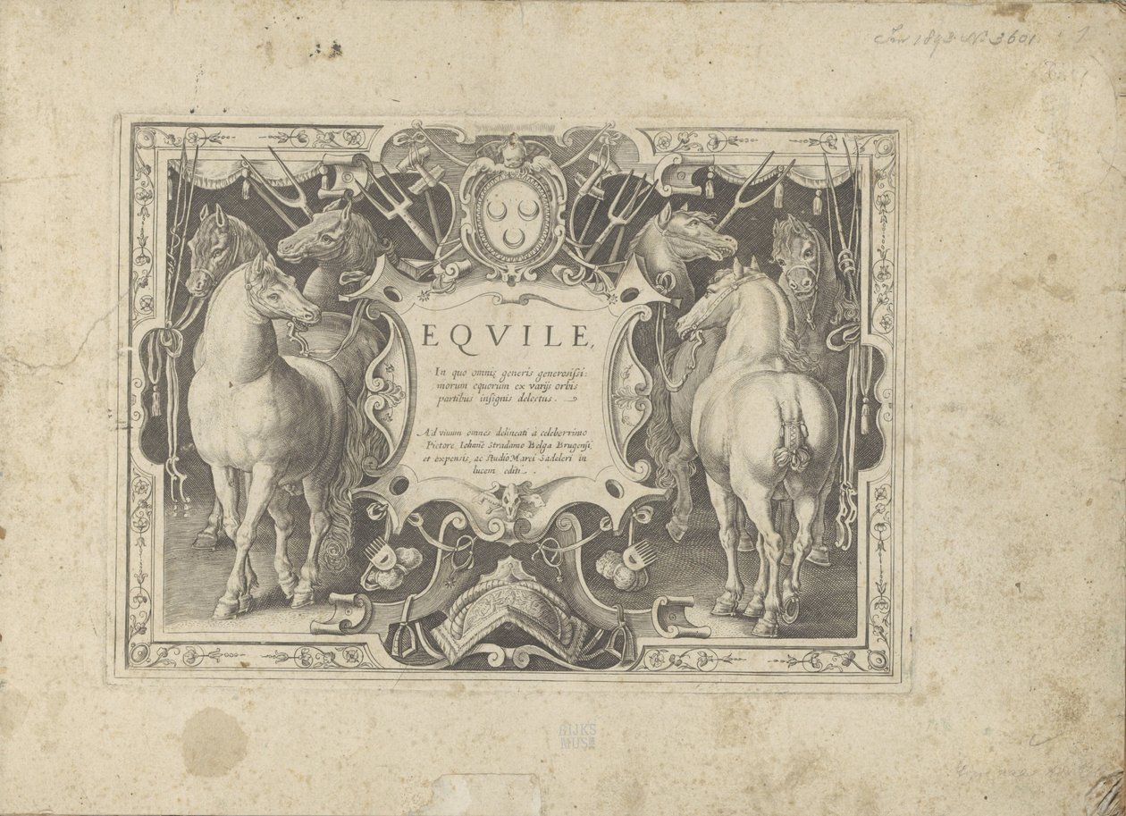 Ornamenteel cartouche met geflankeerd door paarden A ló, amelyben mindenféle nemes: a világ legkülönbözőbb pontjairól megkülönböztetett lovak viselkedése válogatott (...) (sorozat címe tárgyon) alkotó: Anonymous
