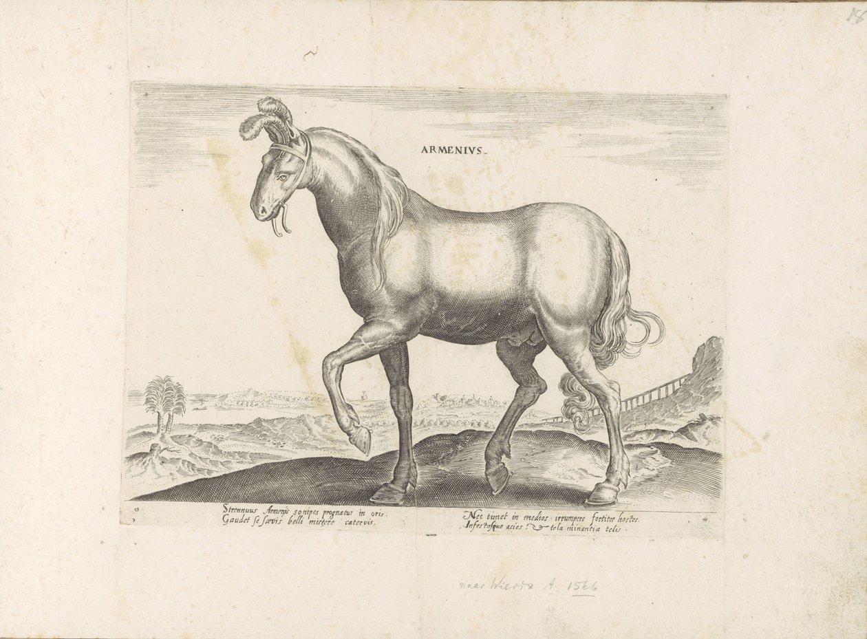 Paard uit Armenië Armenius (cím a tárgyon) Paardenrassen uit de Koninklijke stallen van Don Juan van Oostenrijk (sorozat címe) A ló, amelyben mindenféle nemes: a világ legkülönbözőbb pontjairól megkülönböztetett lovak viselkedése válogatott (...) (sorozat  alkotó: Anonymous
