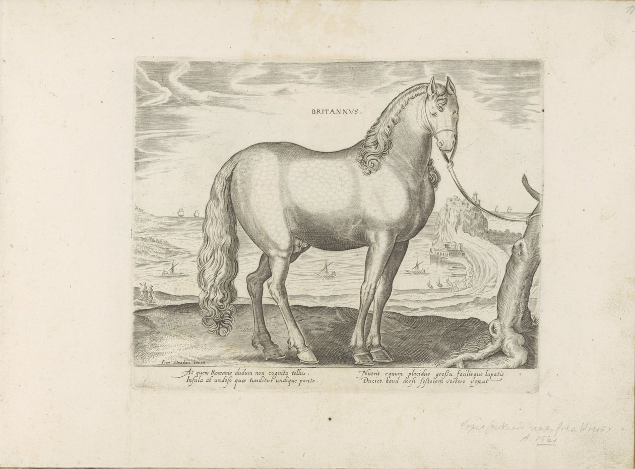Paard uit Bretagne (Nagy-Britannia) brit (cím a tárgyon) Paardenrassen uit de Koninklijke stallen van Don Juan van Oostenrijk (sorozat címe) Egy ló, amelyben mindenféle nemes: a világ különböző pontjairól válogatva, akiket a lovak viselkedése különböztet m alkotó: Anonymous