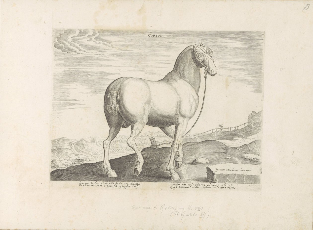 Egy ló Korzikáról Szív (cím a tárgyon) Paardenrassen uit de Koninklijke stallen van Don Juan van Oostenrijk (sorozat címe) A ló, amelyben mindenféle nemes: a világ legkülönbözőbb pontjairól megkülönböztetett lovak viselkedése válogatott (...) (sorozat címe alkotó: Anonymous