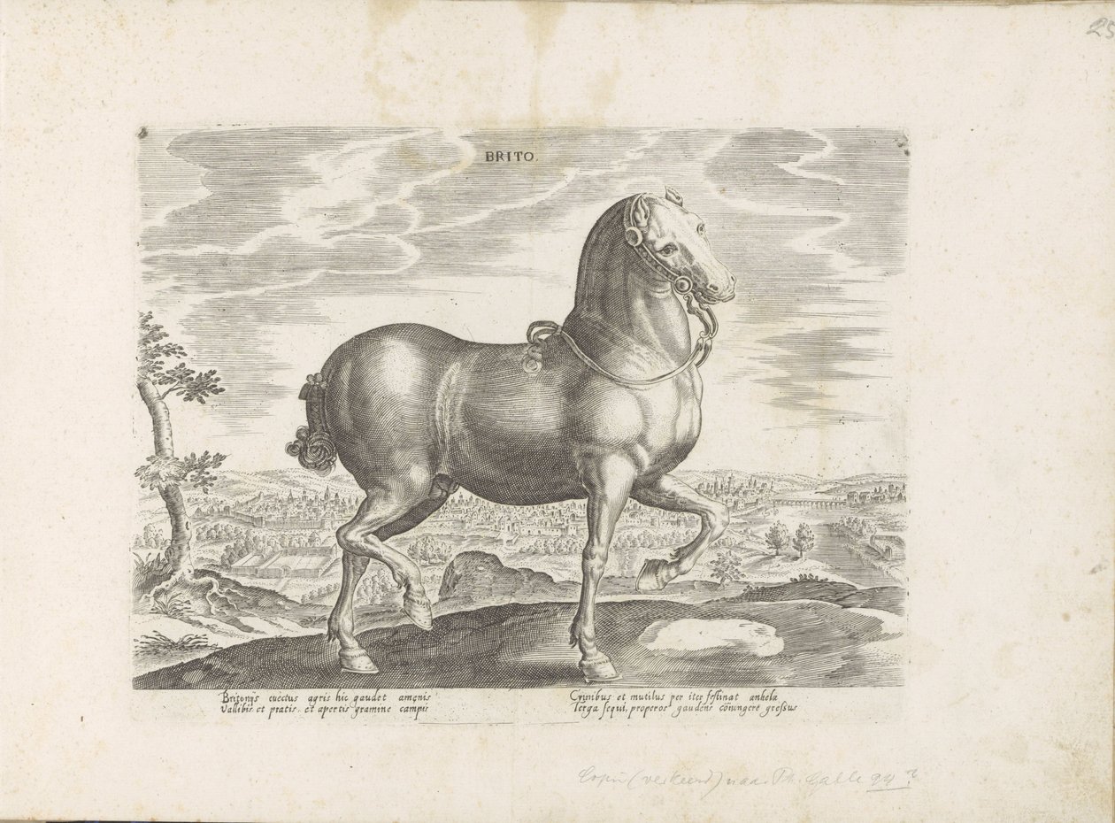 Paard uit Engeland Brito (cím a tárgyon) Paardenrassen uit de Koninklijke stallen van Don Juan van Oostenrijk (sorozat címe) A ló, amelyben mindenféle nemes: a világ legkülönbözőbb pontjairól megkülönböztetett lovak viselkedése válogatott (...) (sorozat cí alkotó: Anonymous
