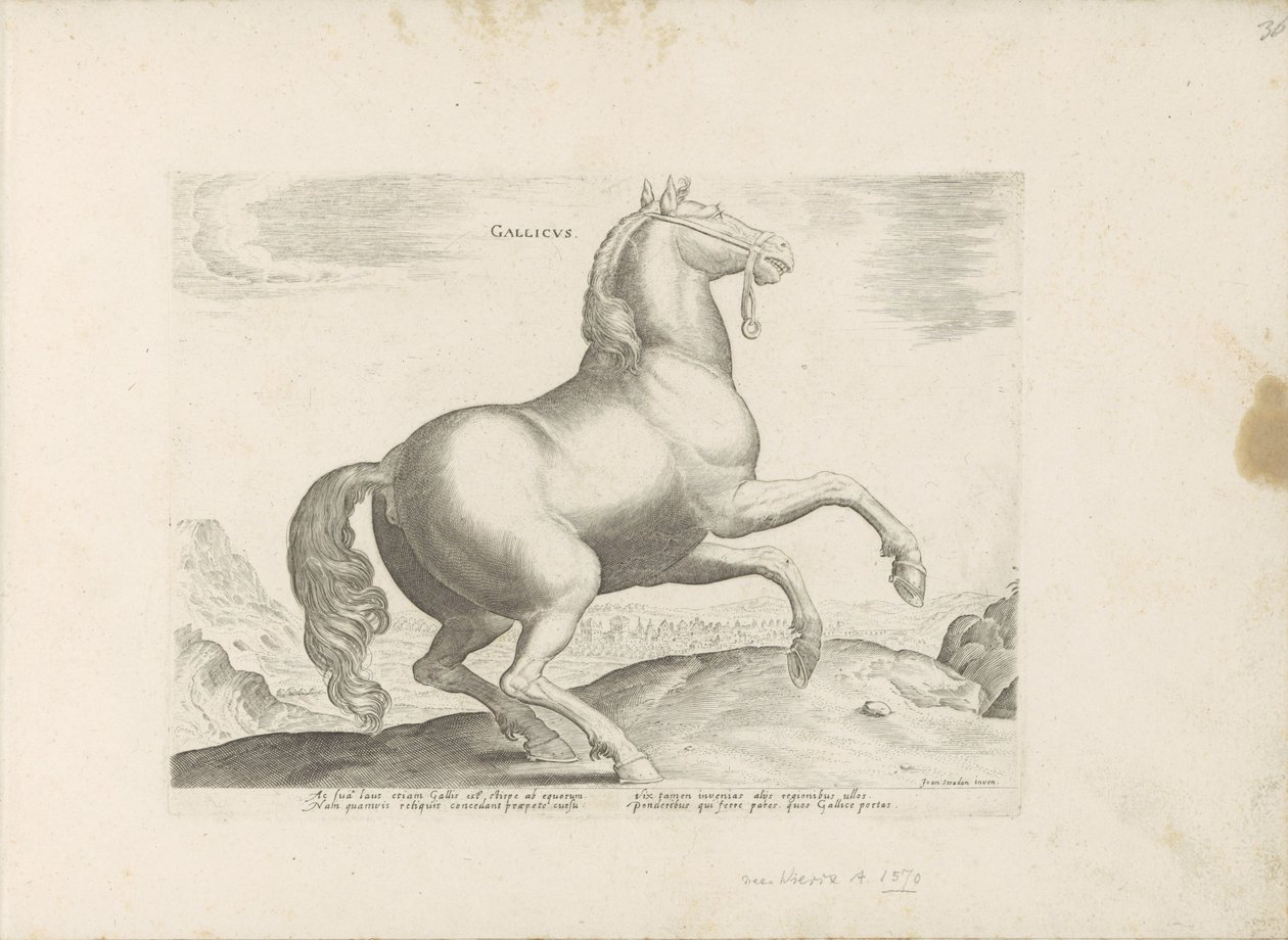 Paard uit Frankrijk francia (cím a tárgyon) Paardenrassen uit de Koninklijke stallen van Don Juan van Oostenrijk (sorozat címe) A ló, amelyben mindenféle nemes: a világ legkülönbözőbb pontjairól megkülönböztetett lovak viselkedése válogatott (...) (sorozat alkotó: Anonymous