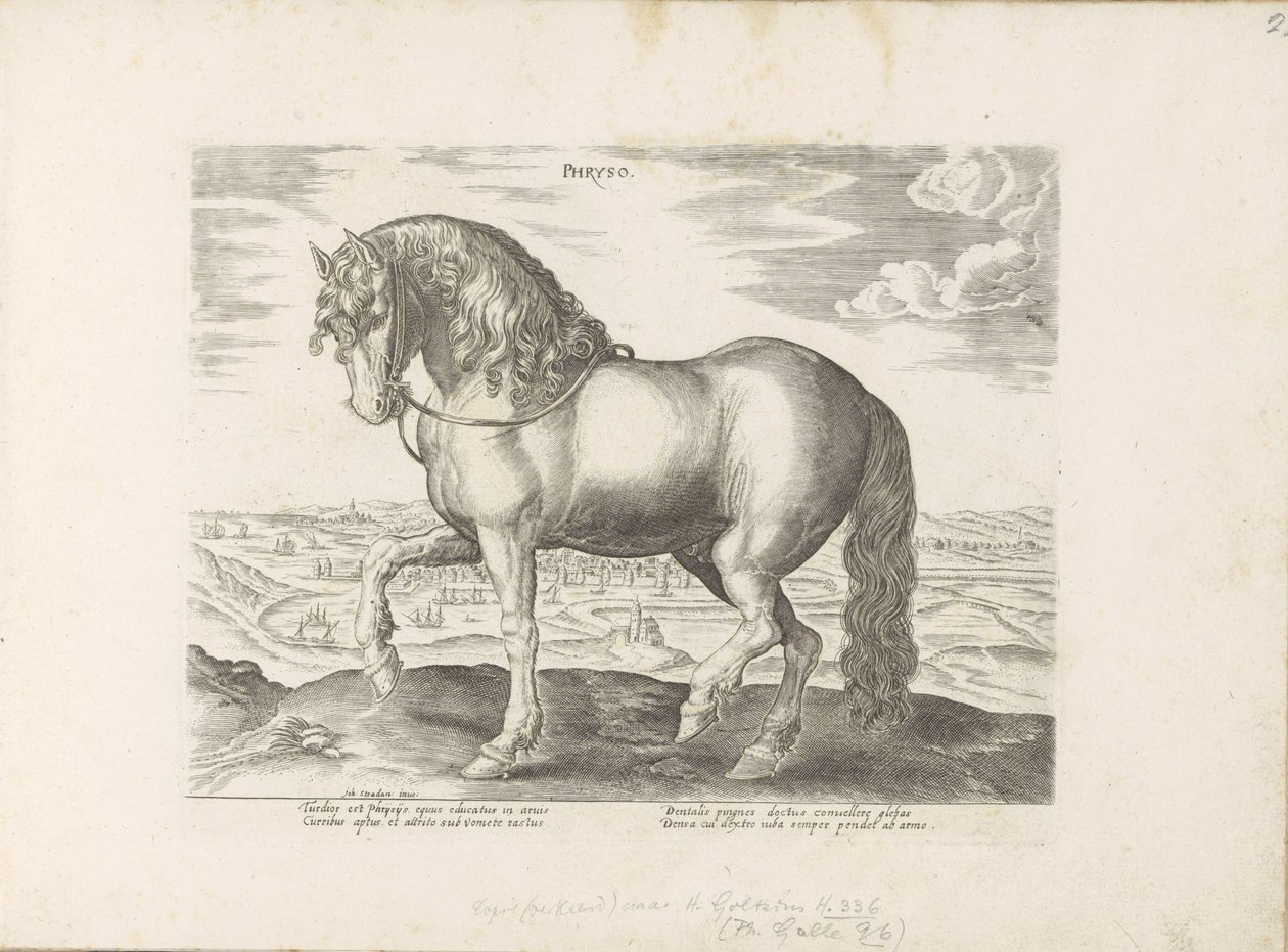 Paard uit Friesland Phryso (cím a tárgyon) Paardenrassen uit de Koninklijke stallen van Don Juan van Oostenrijk (sorozat címe) A ló, amelyben mindenféle nemes: a világ legkülönbözőbb pontjairól megkülönböztetett lovak viselkedése válogatott (...) (sorozat  alkotó: Anonymous