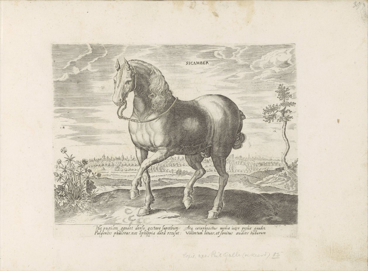 Paard uit Gelre Sicamber (cím a tárgyon) Paardenrassen uit de Koninklijke stallen van Don Juan van Oostenrijk (sorozat címe) A ló, amelyben mindenféle nemes: a világ legkülönbözőbb pontjairól megkülönböztetett lovak viselkedése válogatott (...) (sorozat cí alkotó: Anonymous