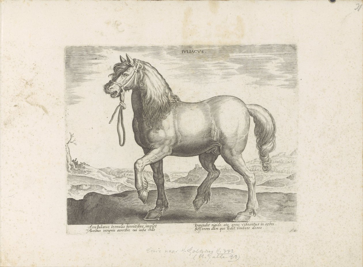Paard uit Gulik (Juliacus) Julia (cím a tárgyon) Paardenrassen uit de Koninklijke stallen van Don Juan van Oostenrijk (sorozat címe) A ló, amelyben mindenféle nemes: a világ különböző pontjairól válogatva, akiket a lovak viselkedése különböztet meg (...) ( alkotó: Anonymous