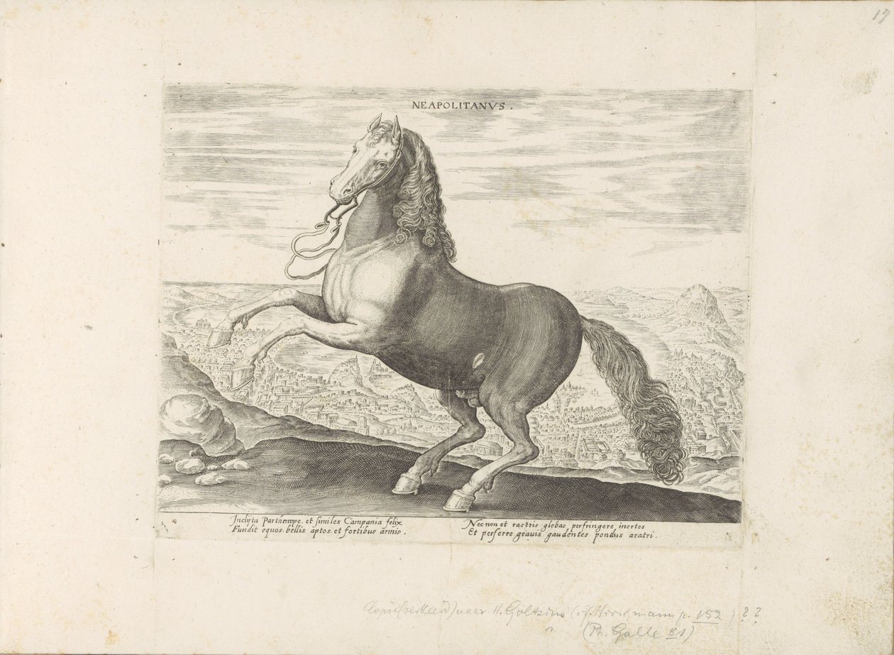 Paard uit Napels nápolyi (cím a tárgyon) Paardenrassen uit de Koninklijke stallen van Don Juan van Oostenrijk (sorozat címe) A ló, amelyben mindenféle nemes: a világ legkülönbözőbb pontjairól megkülönböztetett lovak viselkedése válogatott (...) (sorozat cí alkotó: Anonymous