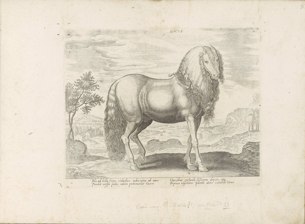 Paard uit Roemenië (holland) Dacus (cím a tárgyon) Paardenrassen uit de Koninklijke stallen van Don Juan van Oostenrijk (sorozat címe) A ló, amelyben mindenféle nemes: a világ legkülönbözőbb pontjairól megkülönböztetett lovak viselkedése válogatott (...) ( alkotó: Anonymous