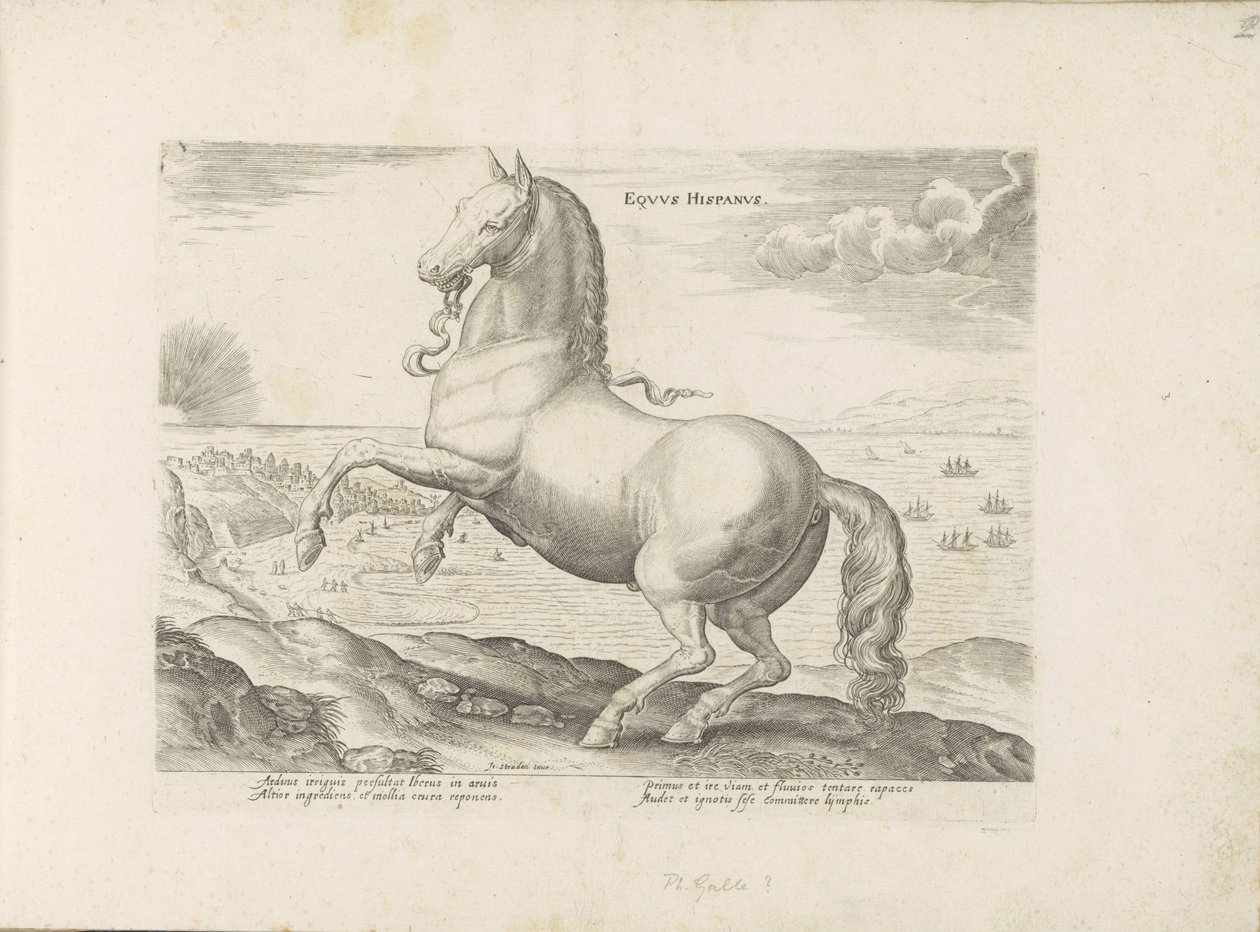 Paard uit Spanje Spanyol ló (cím a tárgyon) Paardenrassen uit de Koninklijke stallen van Don Juan van Oostenrijk (sorozat címe) A ló, amelyben mindenféle nemes: a világ legkülönbözőbb pontjairól megkülönböztetett lovak modora válogatott (...) (sorozat címe alkotó: Anonymous