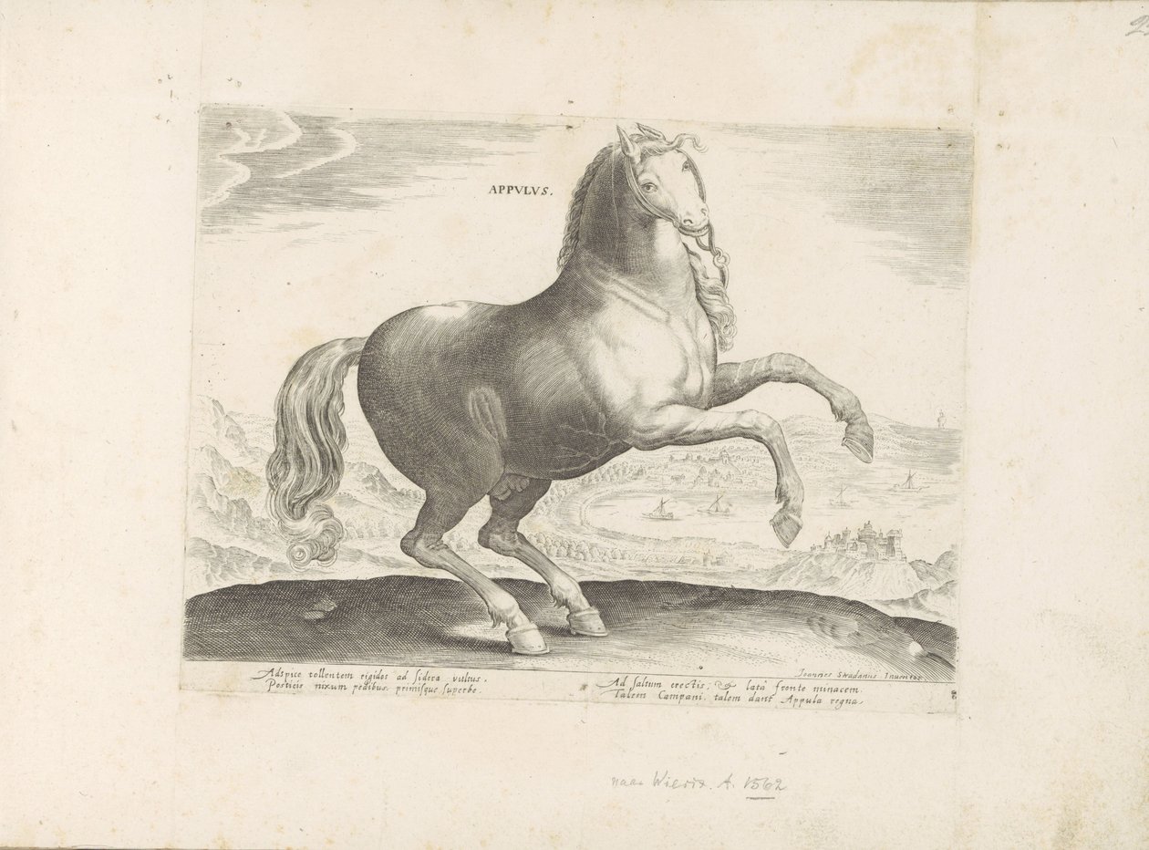 Paard uit Zuid-Italië Appulus (cím a tárgyon) Paardenrassen uit de Koninklijke stallen van Don Juan van Oostenrijk (sorozat címe) A ló, amelyben mindenféle nemes: a világ legkülönbözőbb pontjairól megkülönböztetett lovak viselkedése válogatott (...) (soroz alkotó: Anonymous
