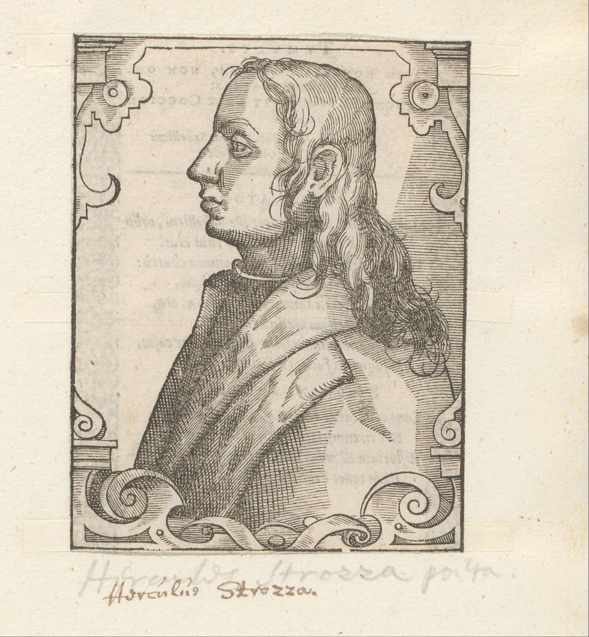 Ercole Strozzi portréja alkotó: Anonymous