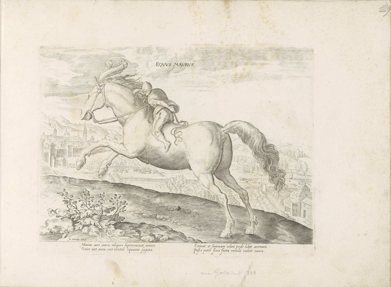 Renpaard találkozott Ruiterrel mór ló (cím a tárgyon) Paardenrassen uit de Koninklijke stallen van Don Juan van Oostenrijk (sorozat címe) A ló, amelyben mindenféle nemes: a világ legkülönbözőbb pontjairól megkülönböztetett lovak viselkedése válogatott (... alkotó: Anonymous
