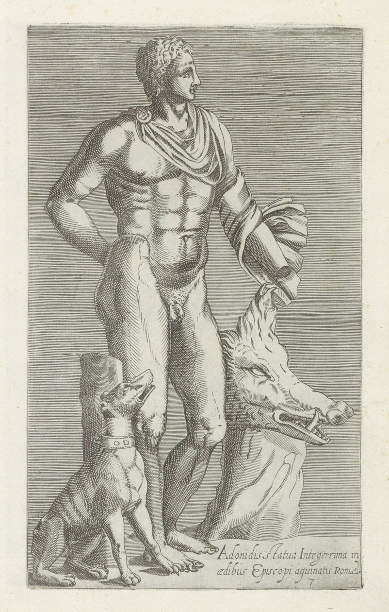 Sculptuur van Adonis met jachthond en kop van een everzwijn Adonisz legteljesebb szobra a római püspök palotájában (cím a tárgyon) Antik szobrok Rómában (sorozat címe) Róma városának nyilvános helyeken látható ősi szobrainak ikonja alkotó: Anonymous