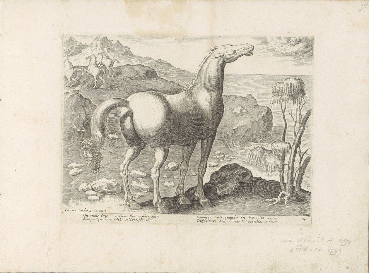 Zephyrus bevrucht een merrie Paardenrassen uit de Koninklijke stallen van Don Juan van Oostenrijk (sorozat címe) A ló, amelyben mindenféle nemes: a világ legkülönbözőbb pontjairól megkülönböztetett lovak viselkedése válogatott (...) (sorozat címe tárgyon) alkotó: Anonymous