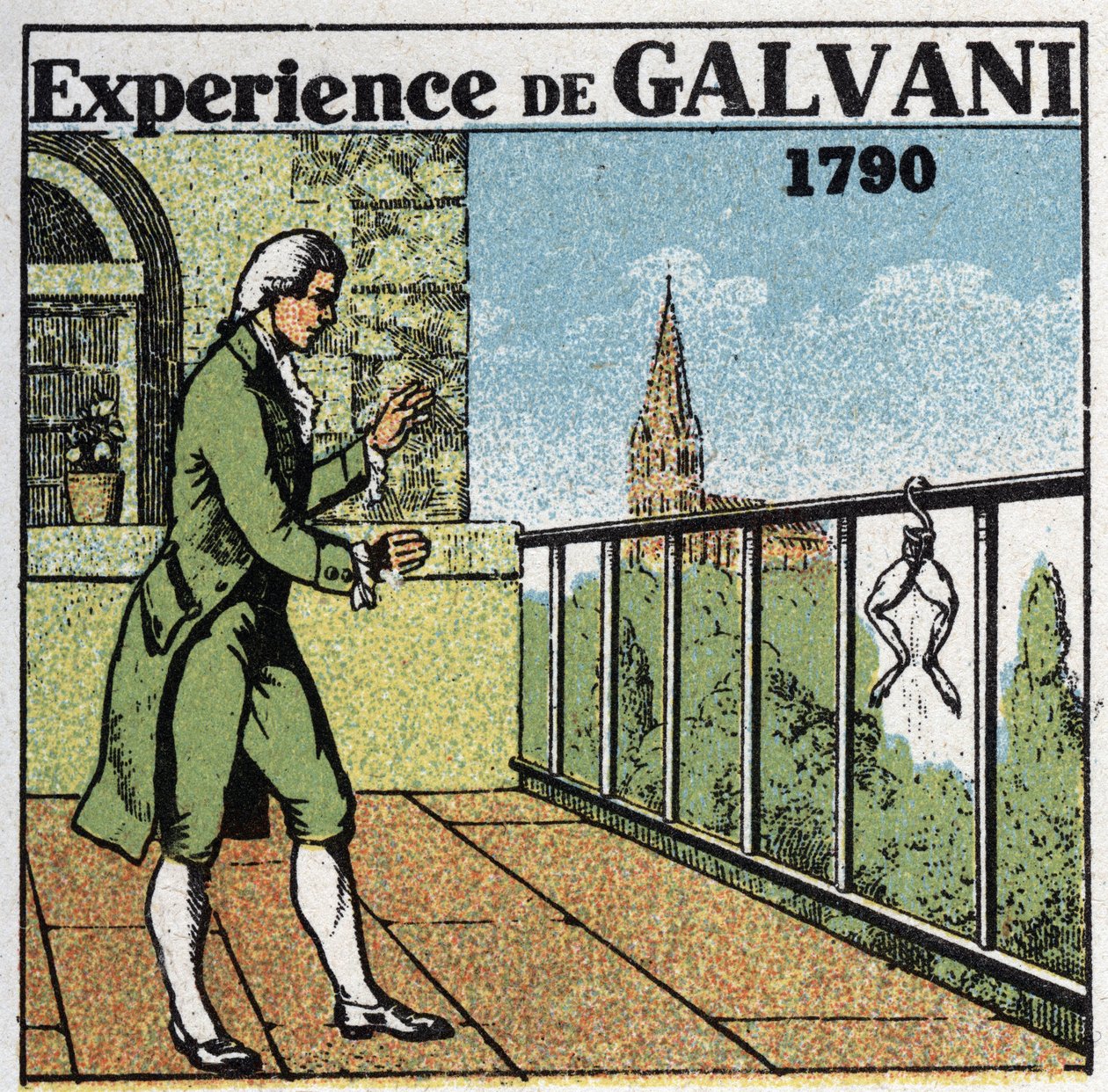 Elemek és akkumulátorok: Luigi Galvani (1737-1798) tapasztalata békacombokkal ellátott elektrolittal, 1790-ben. Névtelen illusztráció 1925-ből. Magángyűjtemény. alkotó: Anonymous Anonymous