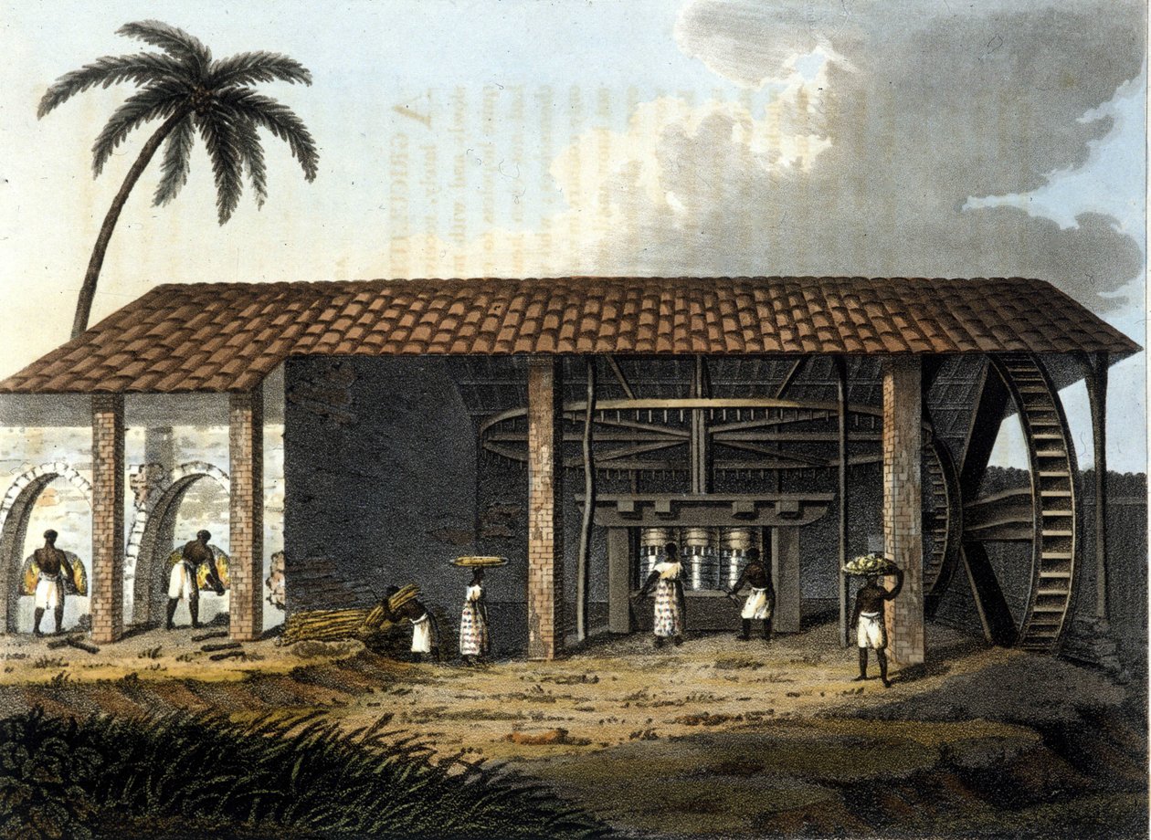 Brazília, cukorgyár – „A régi és modern kosztümben”” 1819-1820, Dr. Jules Ferrario, ed Milan. alkotó: Anonymous Anonymous