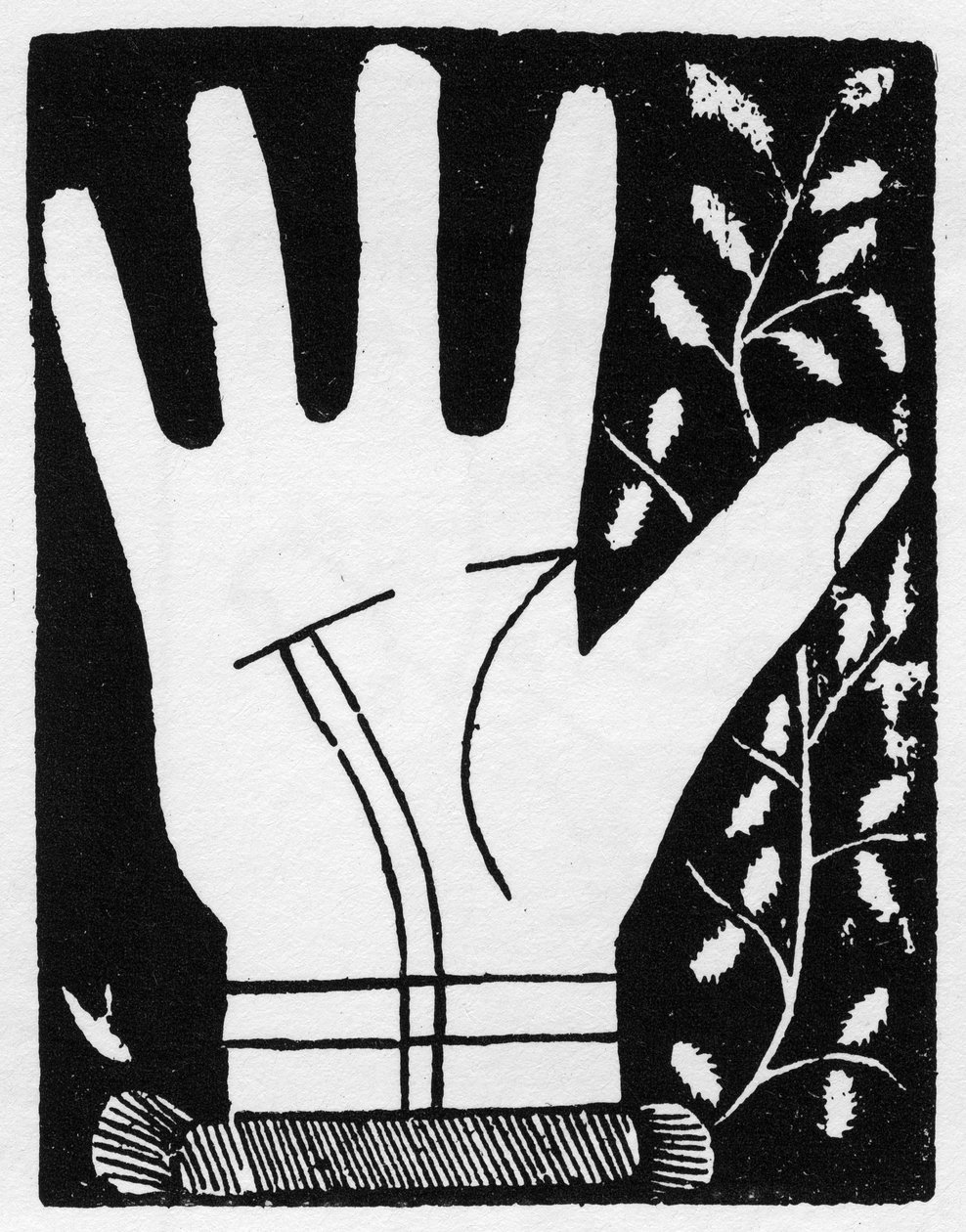 Chiromancia - Kettős napvonal áttörése a közepén - 1545-ös metszet a „The Art of Chyromance” című művében Andre Corvo - Magángyűjtemény alkotó: Anonymous Anonymous