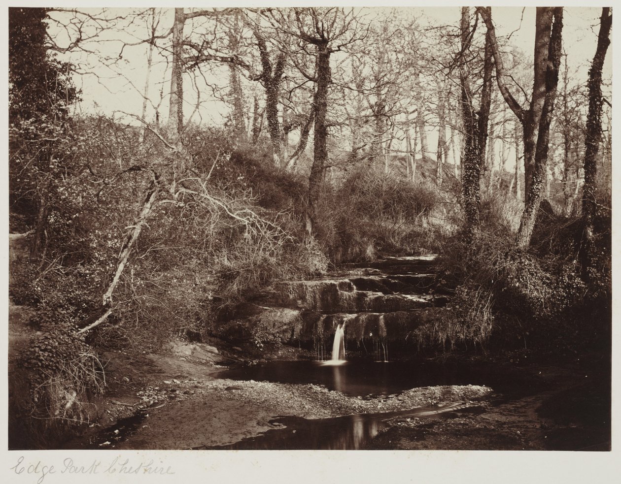 Edge Park, Cheshire, 1865 körül (albumnyomat üvegnegatívról) alkotó: Anonymous Anonymous