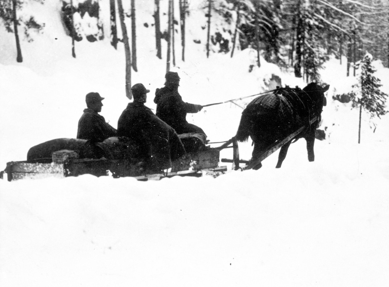 Első világháború, Carso Front: Olasz alpesi vadászok (alpino vagy alpini) élelmet szállítanak szánkón alkotó: Anonymous Anonymous