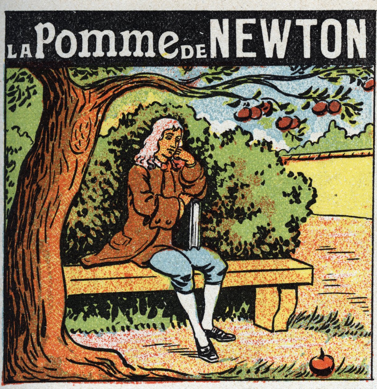 Gravitáció: Newton alma. Isaac Newton (1642-1727) megfigyeli, hogy egy alma leesik az almafáról, és felfedezi a föld gravitációjának (gravitáció) törvényeit. Névtelen illusztráció 1925-ből. Magángyűjtemény. alkotó: Anonymous Anonymous