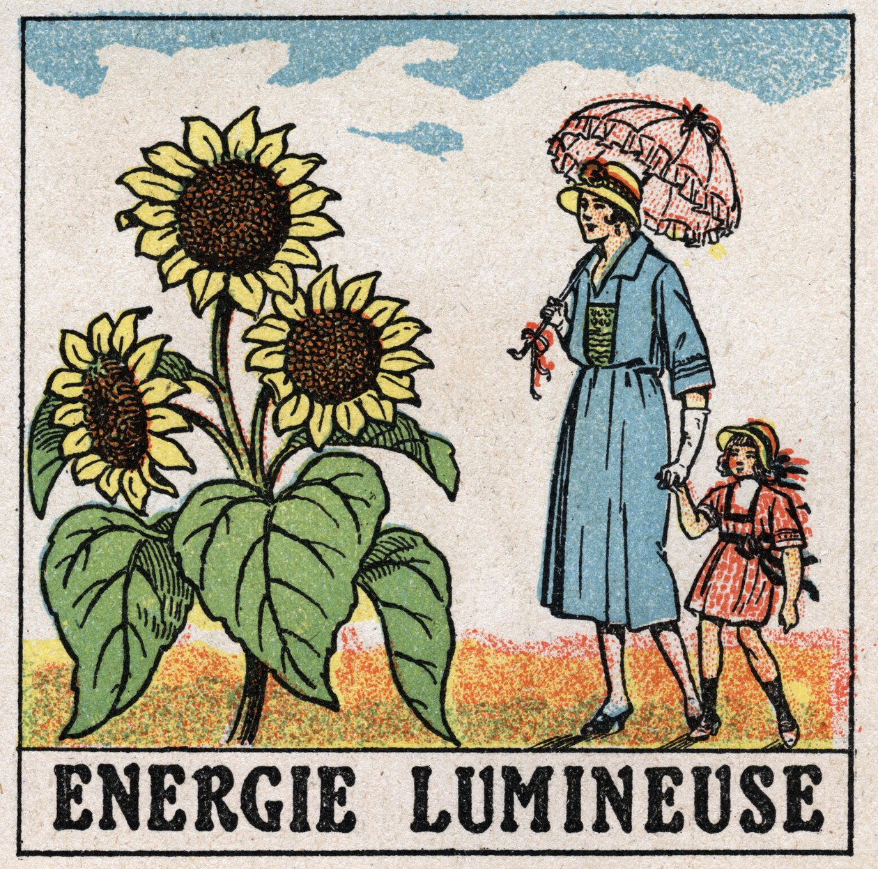 Fényenergia: a napraforgót a napfény befolyásolja. Névtelen illusztráció 1925-ből. Magángyűjtemény. alkotó: Anonymous Anonymous