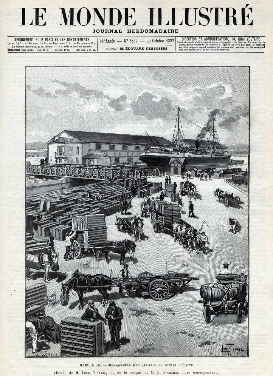 Tengeri kereskedelem: Egyiptomból érkező fürj ugatása Marseille kikötőjében. Egy újság. Metszet az 1892-es „Le monde illustree”-ben. Magángyűjtemény. alkotó: Anonymous Anonymous