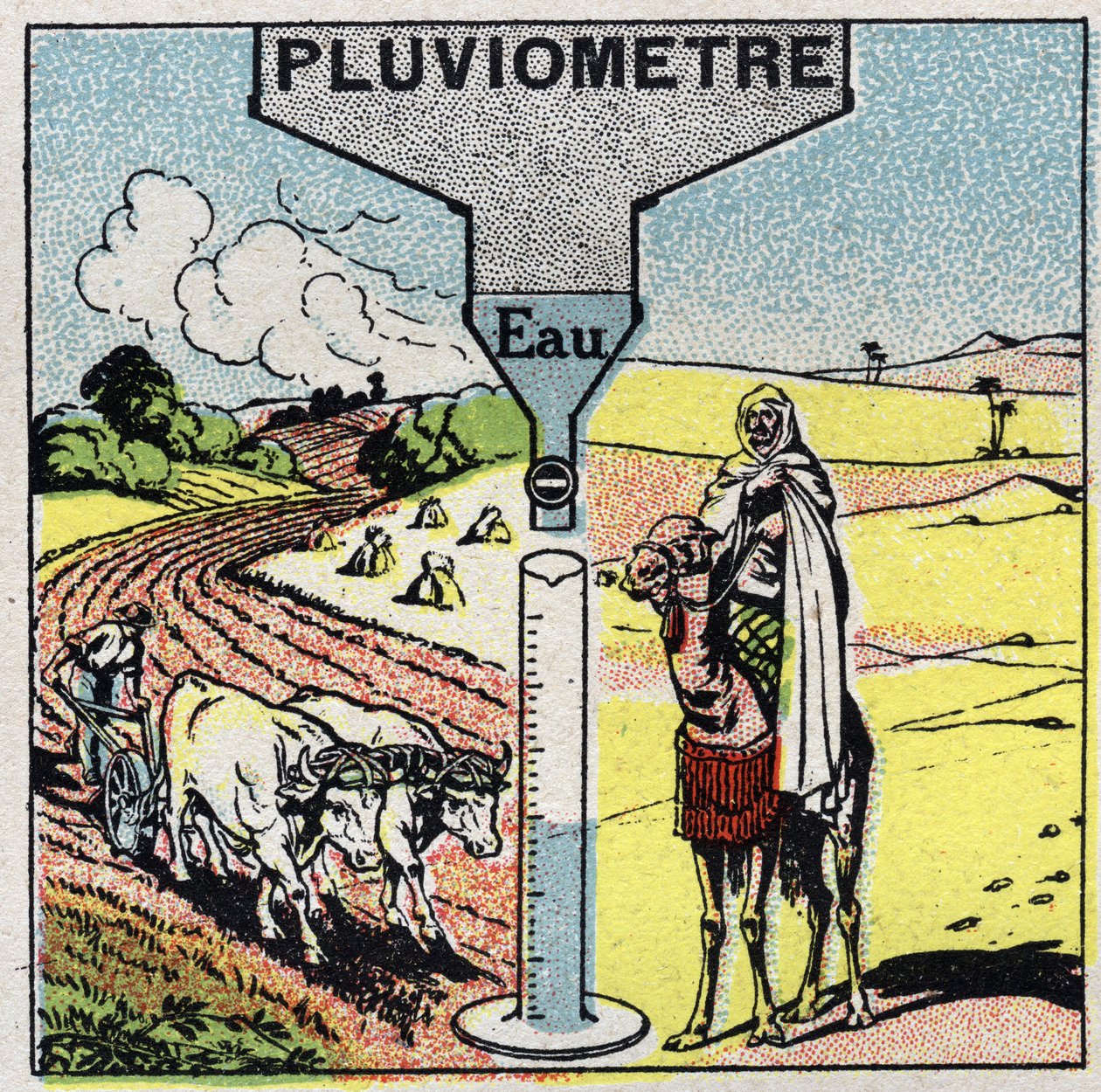 Meteorológia: az eső hatása az éghajlatra, az eső felhasználása. Névtelen illusztráció 1925-ből. Magángyűjtemény. alkotó: Anonymous Anonymous