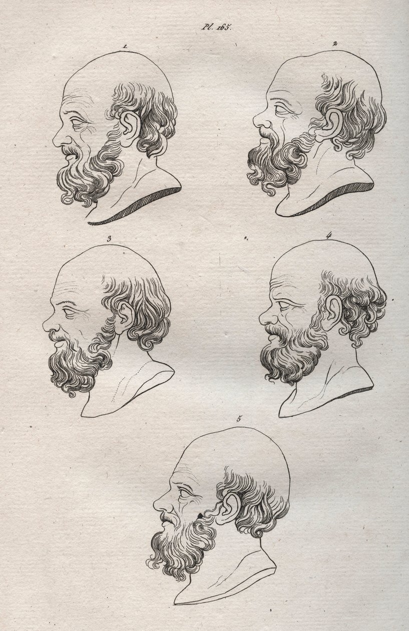 Fiziognómia - Fiziognómia - Szókratész (kb. ie 469-i. e. 399) görög filozófus több feje (Szókratész mellszobra (i.e. 469-399), athéni filozófus) 1808-as metszet „A férfiak megismerésének művészete a fiziológián keresztül” Johann Gaspar (Gaspard) Lavat alkotó: Anonymous Anonymous