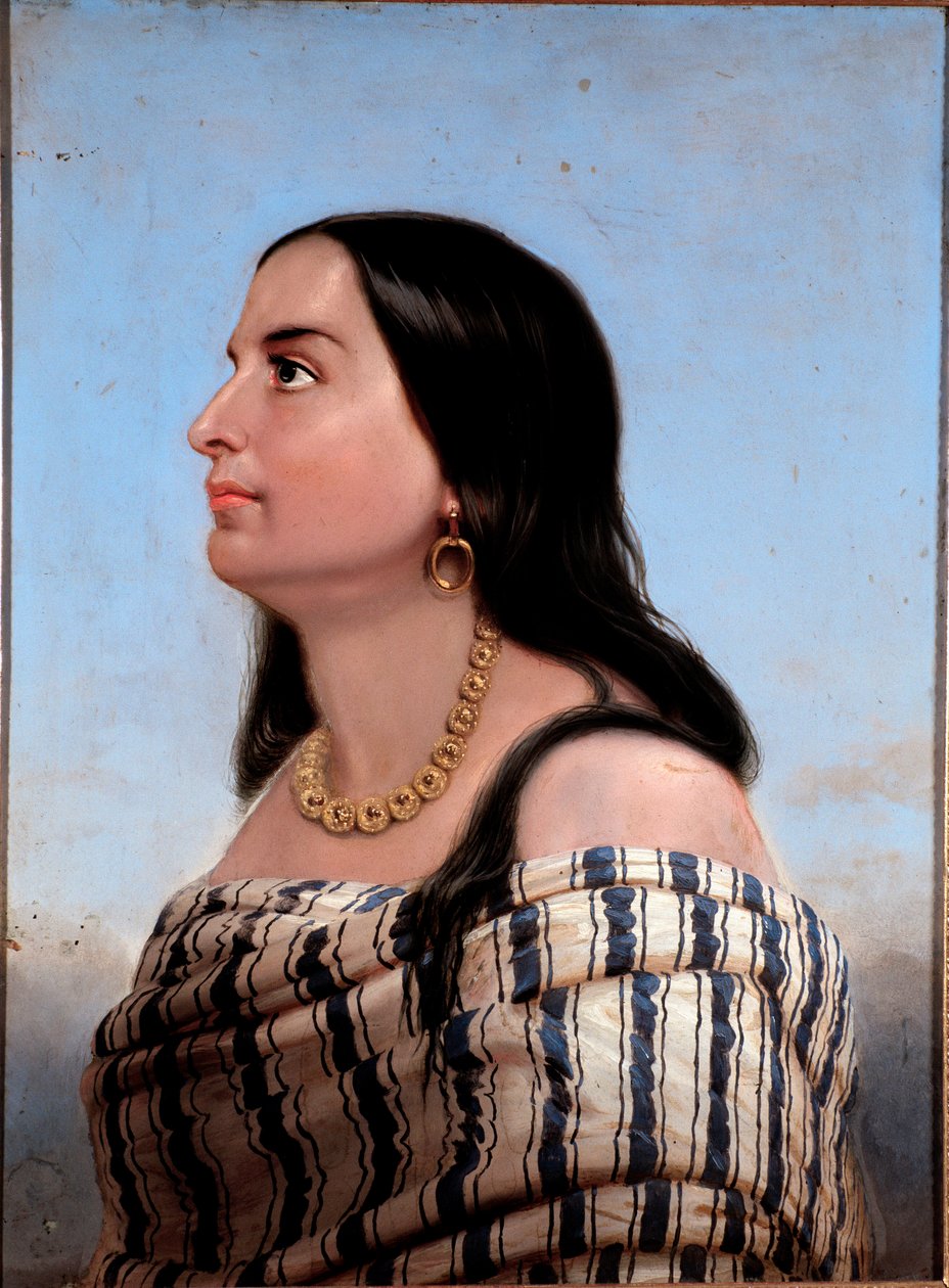 Anita Garibaldi (1821-1849), Giuseppe Garibaldi névtelen festmény feleségének portréja. Magángyűjtemény alkotó: Anonymous Anonymous