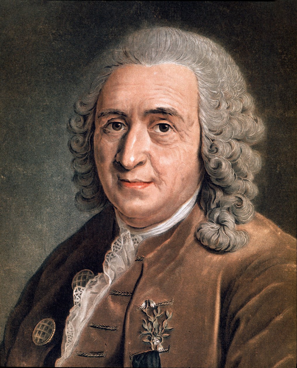 Charles Linne (Carl von Linne, Linneus 1707 - 1778), svéd természettudós Anonymous festmény portréja. 18. század. Milánó, magángyűjtemény alkotó: Anonymous Anonymous