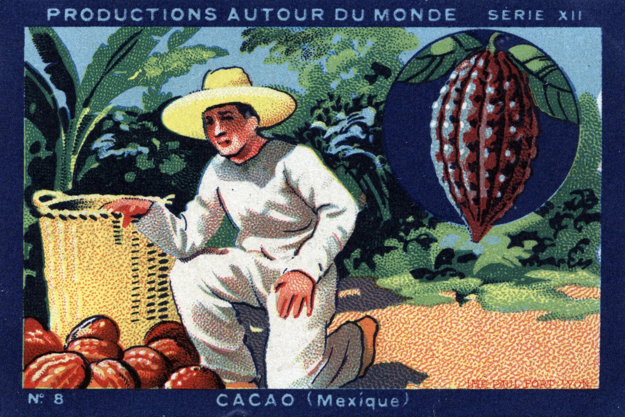 Termelések szerte a világon: Kakaó Mexikóban. 1933-as kromolitográfiája a „Joseph-Milliat Albumban” alkotó: Anonymous Anonymous