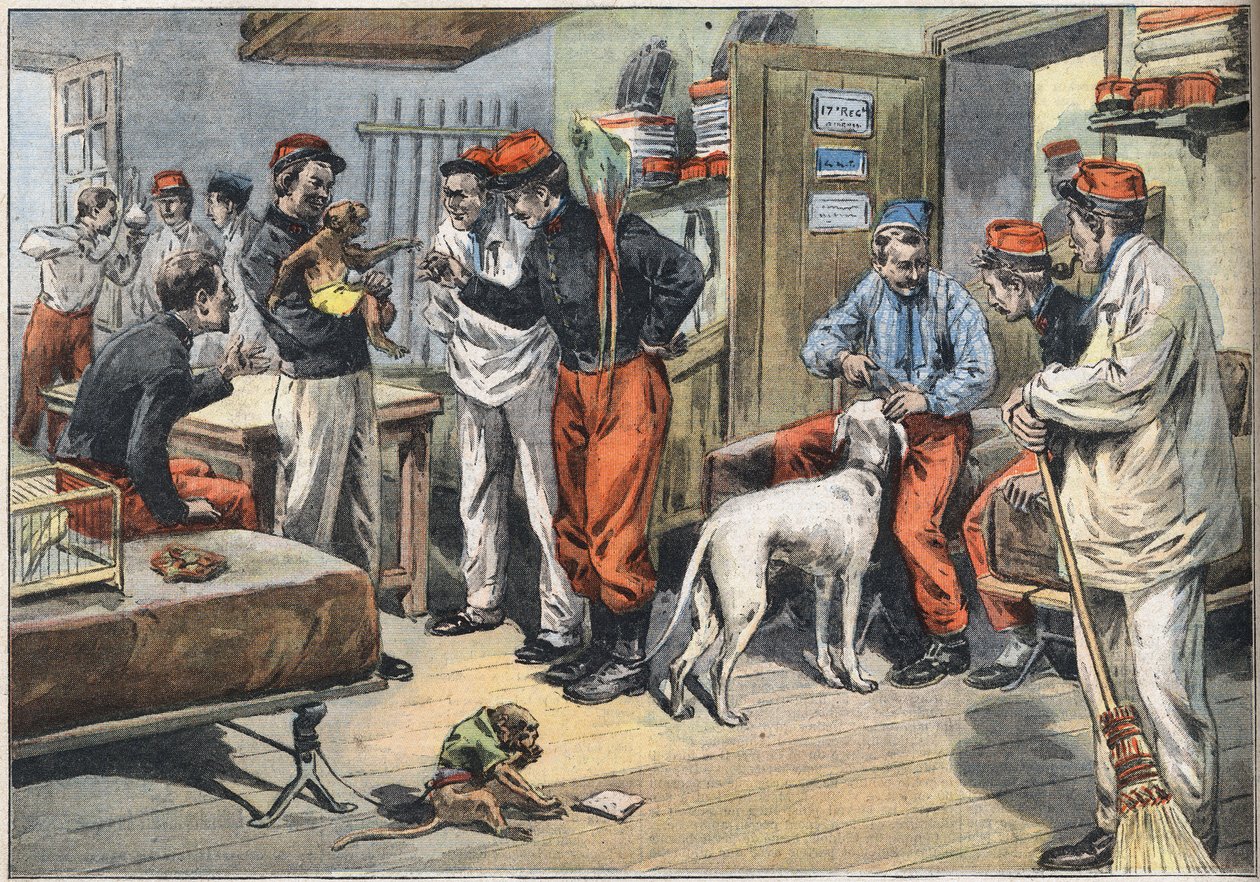 A Tunéziába küldött francia hadsereg katonái Afrikából visszatérnek. Metszet a „” Le Petité Parisien” újságból”, 1908.07.06. Magángyűjtemény. alkotó: Anonymous Anonymous
