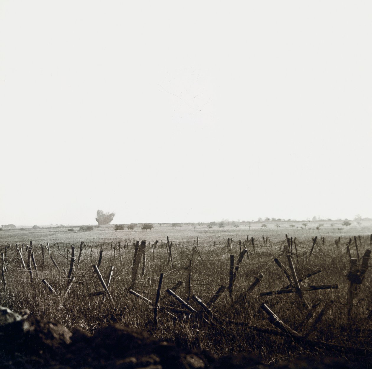 Sztereoszkópikus üveglap az első világháborúról (1., Iere alkotó: Anonymous Anonymous
