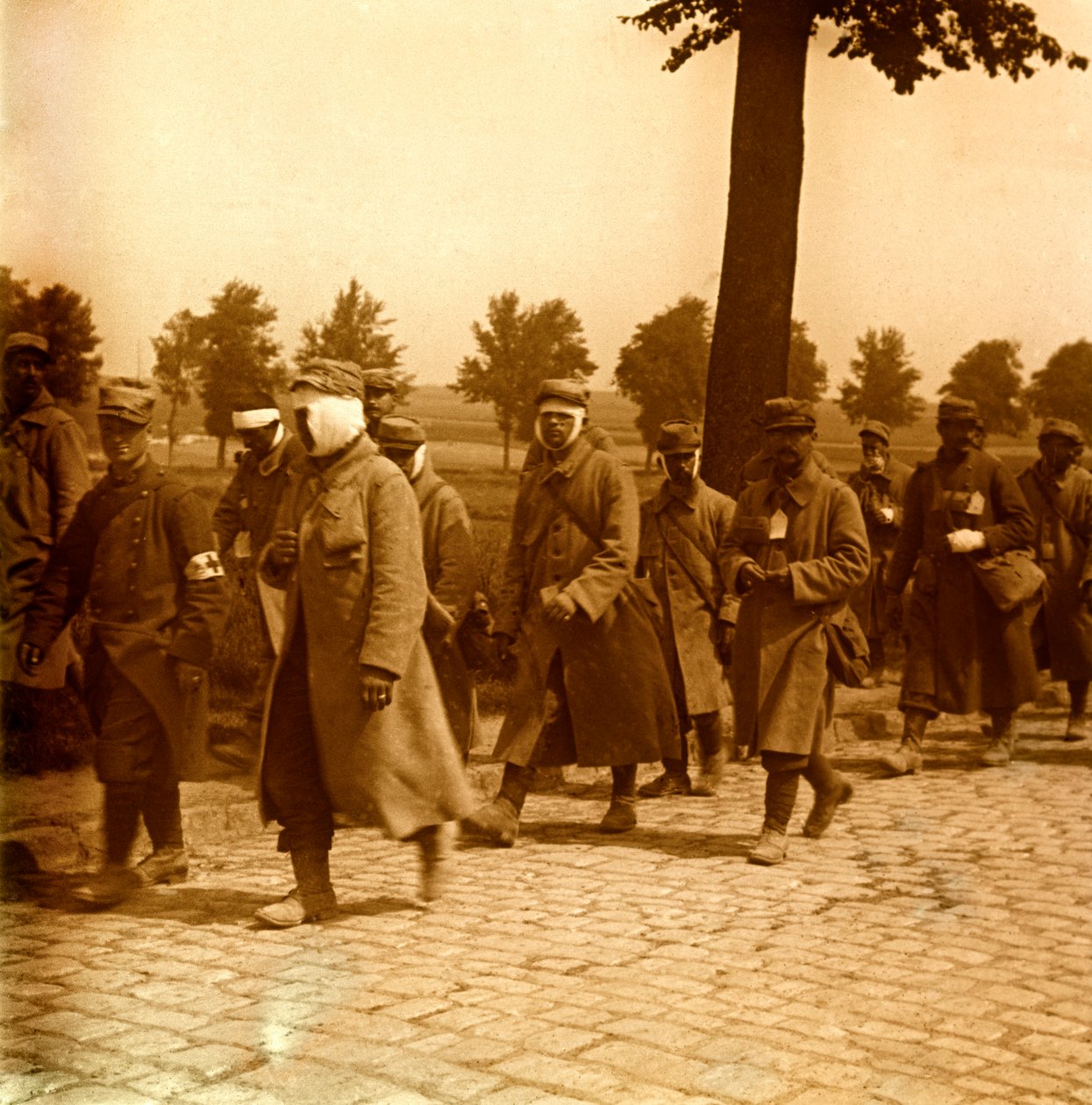Sztereoszkópikus üveglap az első világháborúról (1., Iere alkotó: Anonymous Anonymous