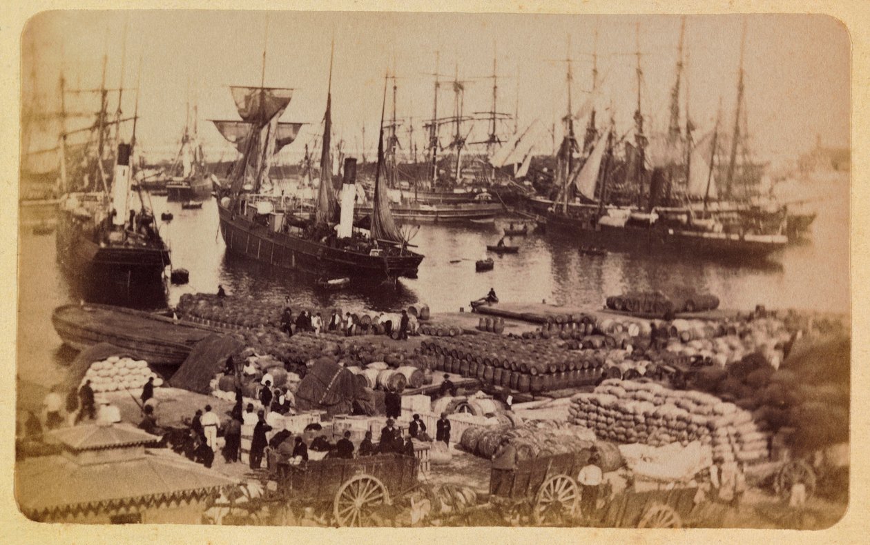 Marseille városa és környéke 1885-1890 körül: Bassin de la Joliette, macskák rakománybeszállása, Magángyűjtemény alkotó: Anonymous Anonymous