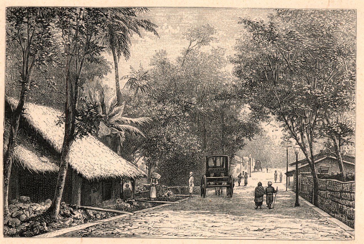 Kilátás egy utcára Colombóból Ceylonban (Sri Lanka). Louis-Eugene (Louis Eugene) Louvet „Katholikus missziók a XIX. században” című metszetébe. magángyűjtemény. alkotó: Anonymous Anonymous