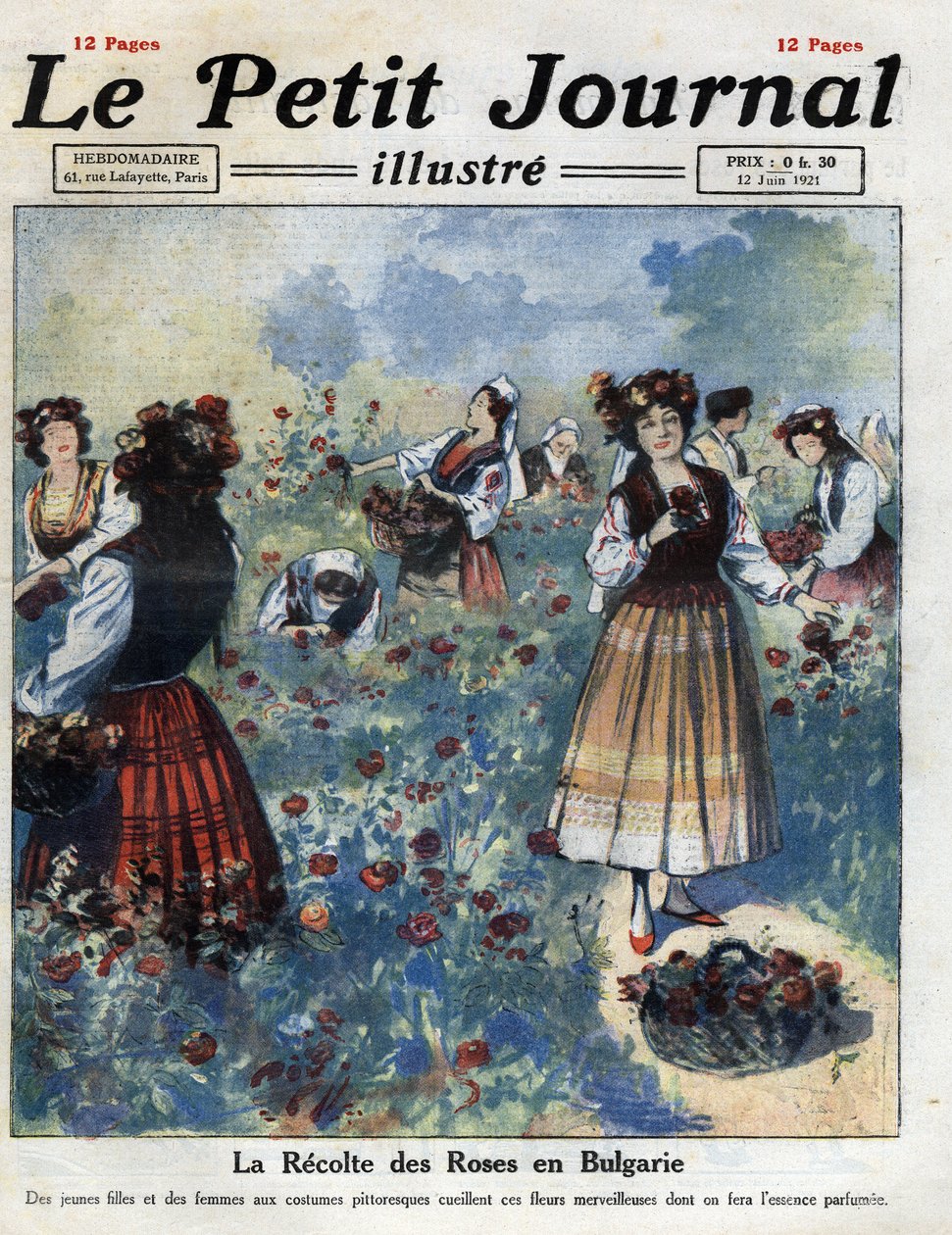 Fiatal nők hagyományos bolgár viseletben rózsákat szednek rózsavíz előállításához. Az illusztráció az 1921. 12. 06-i „” Le petit Journal illustrious”” című kiadványból származik. Magángyűjtemény alkotó: Anonymous Anonymous