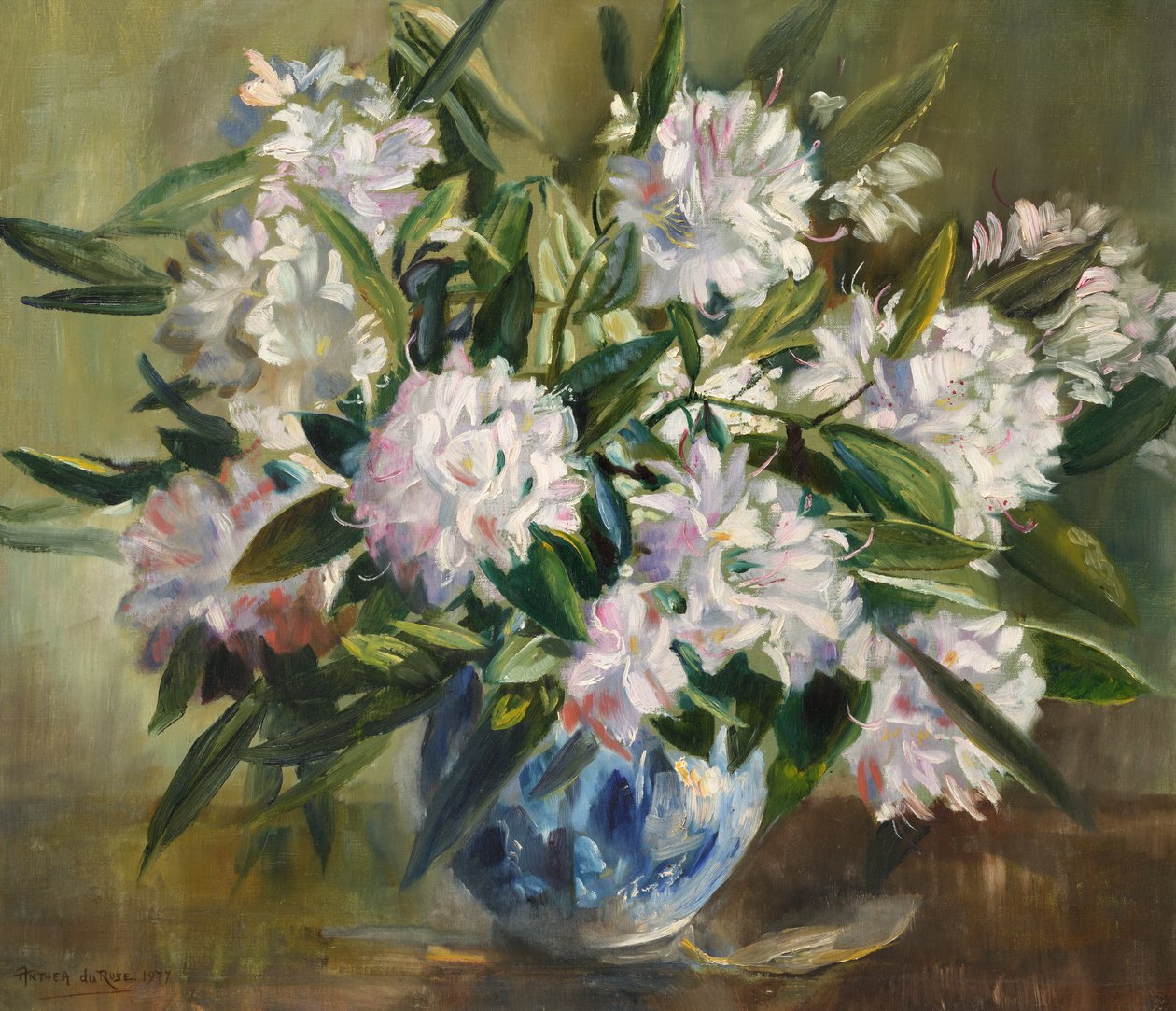 Rhododendron, halvány fehér és rózsaszín alkotó: Anthea Durose