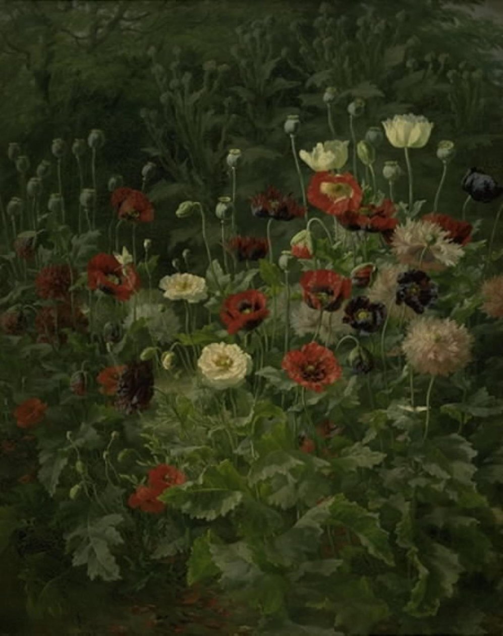 Pipacsok alkotó: Anthonie Christensen
