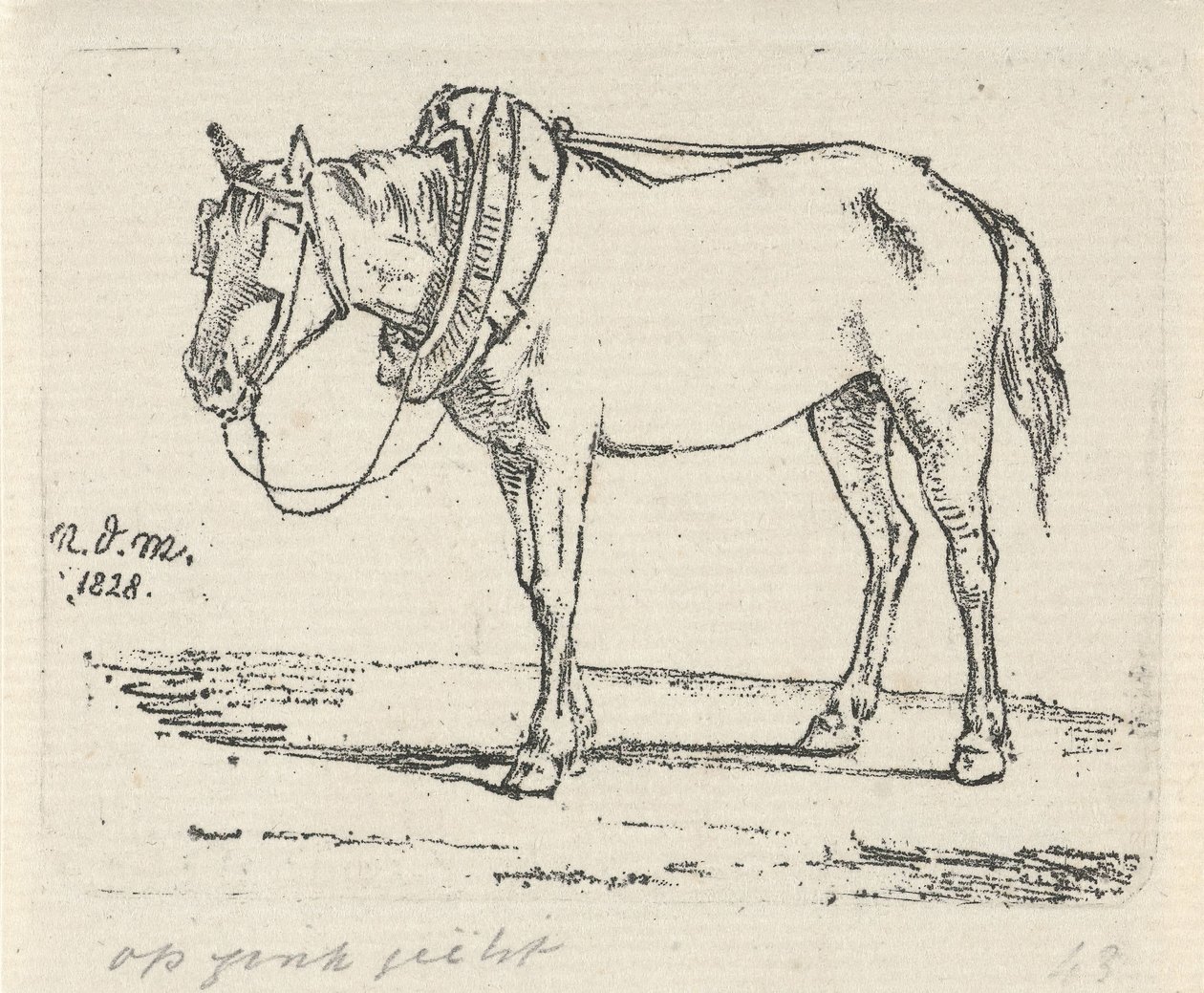 Sózott ló alkotó: Anthonie Willem Hendrik Nolthenius de Man