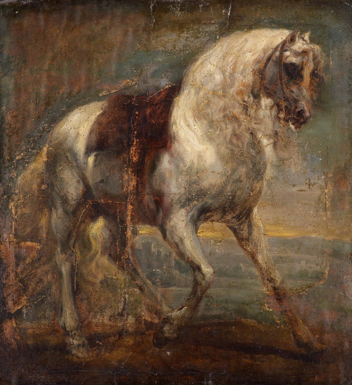 Szürke ló alkotó: Anthony van Dyck
