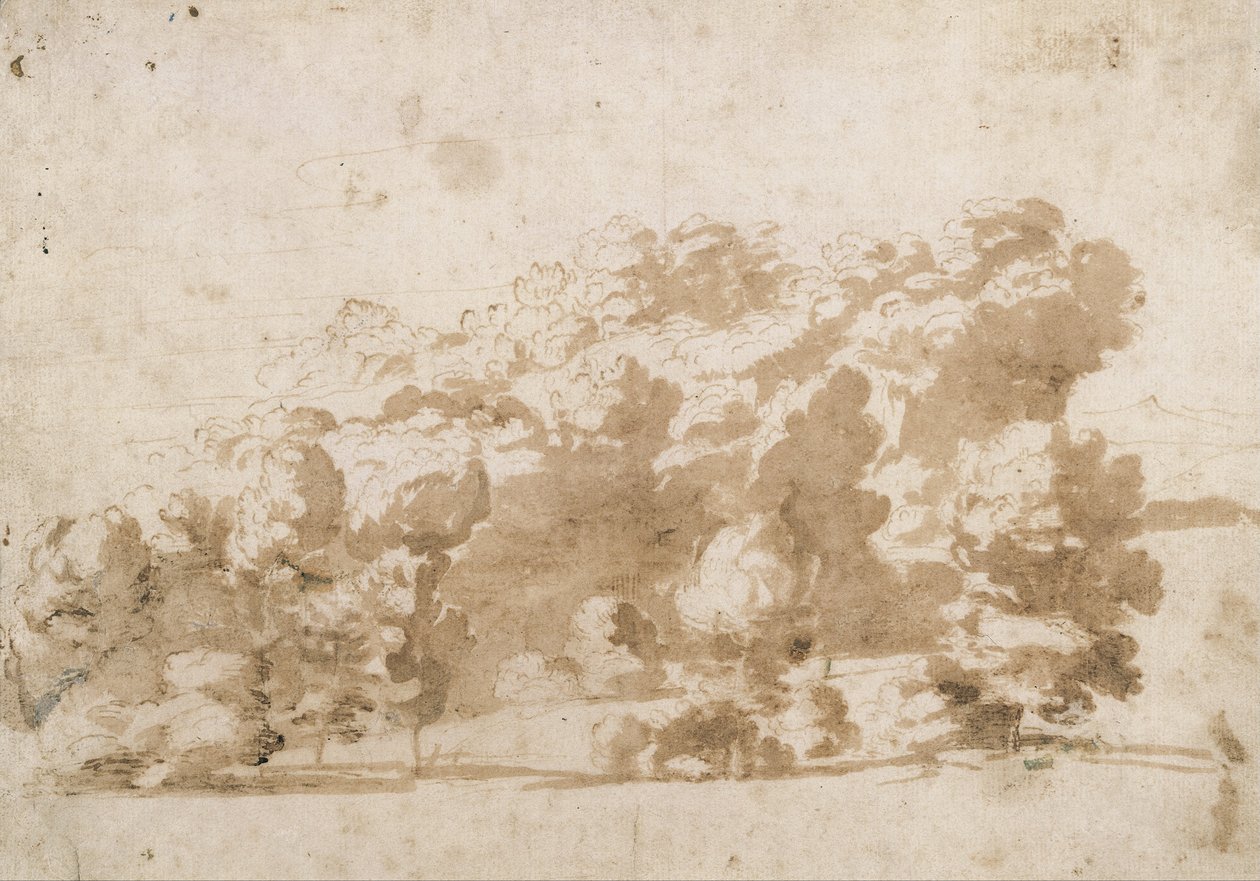 Erdős gerinc alkotó: Anthony van Dyck
