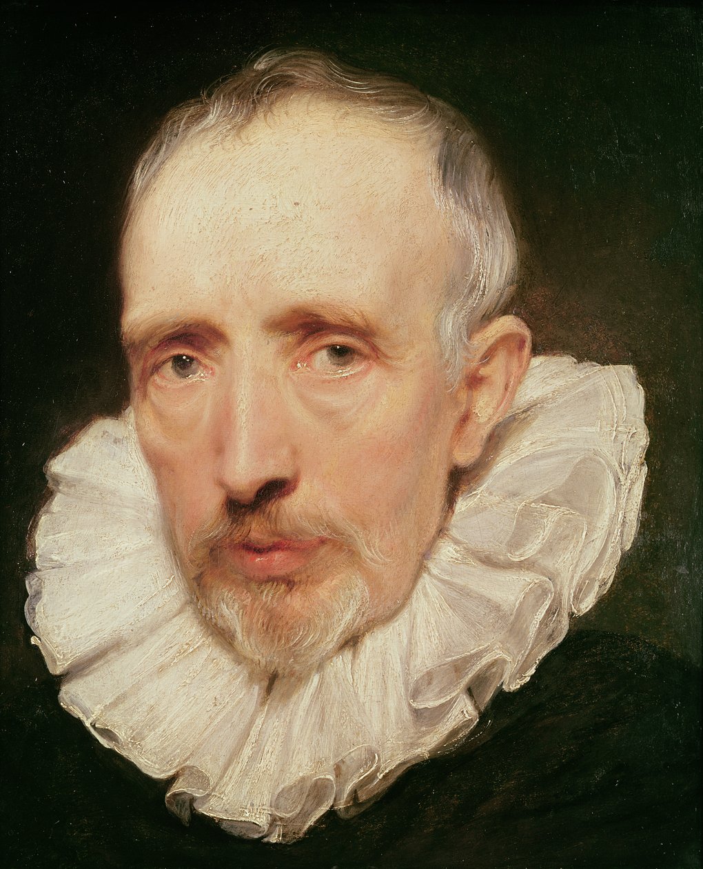 Cornelis van der Geest portréja, 1620 körül (olaj, tölgy) alkotó: Anthony van Dyck