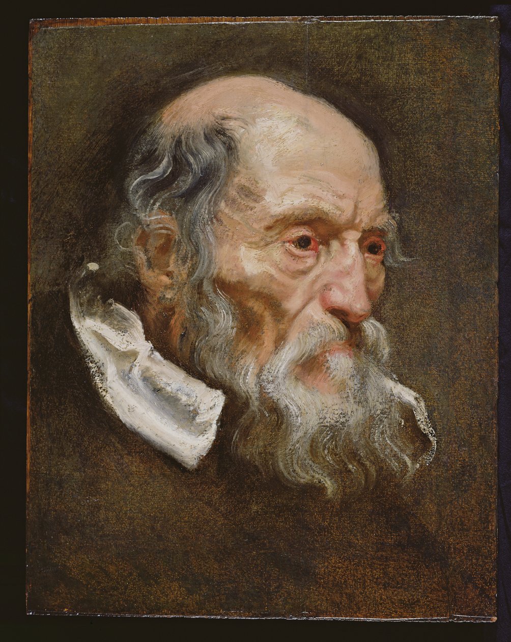 Egy idős férfi portréja alkotó: Anthony van Dyck