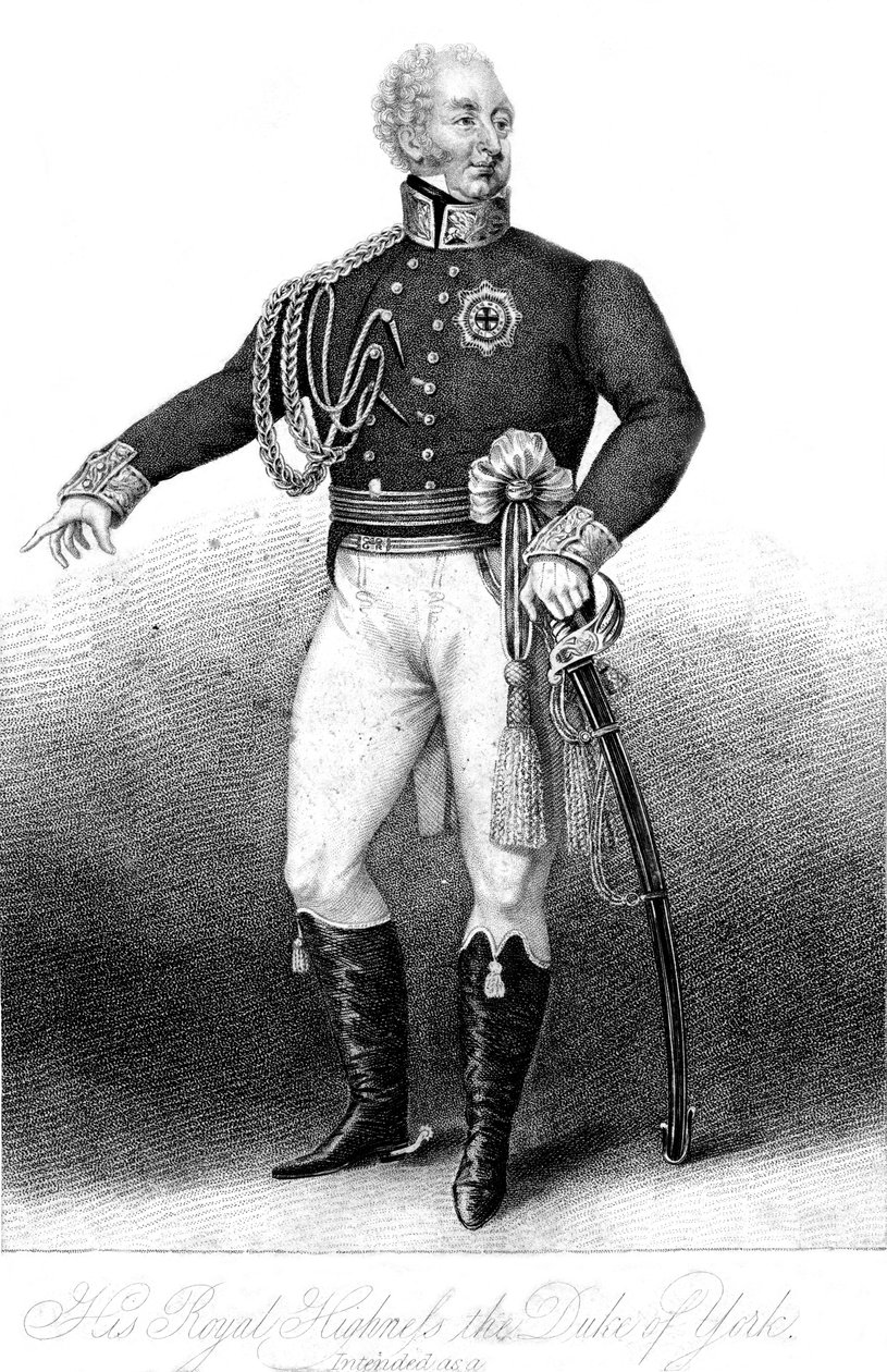 Ő Királyi Fensége, York hercege, XIX. alkotó: Anthony Cardon